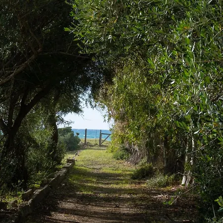 Verdemare Caronia